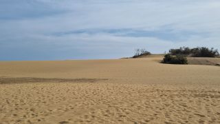 2023-GC--Mapalomas dunas-S123-263.jpg